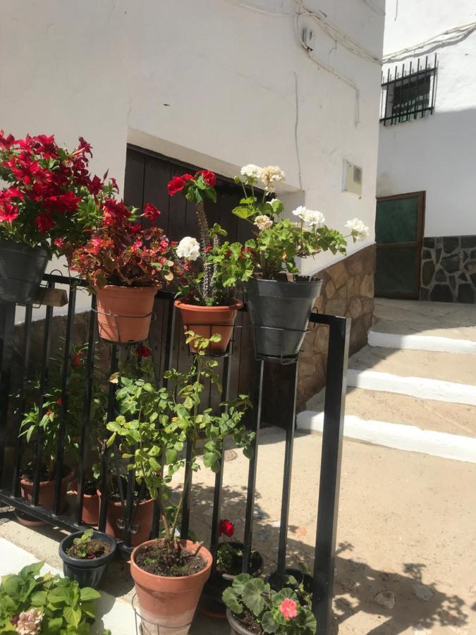 Casa Amigos Sorvilan- La Palmera Εξωτερικό φωτογραφία