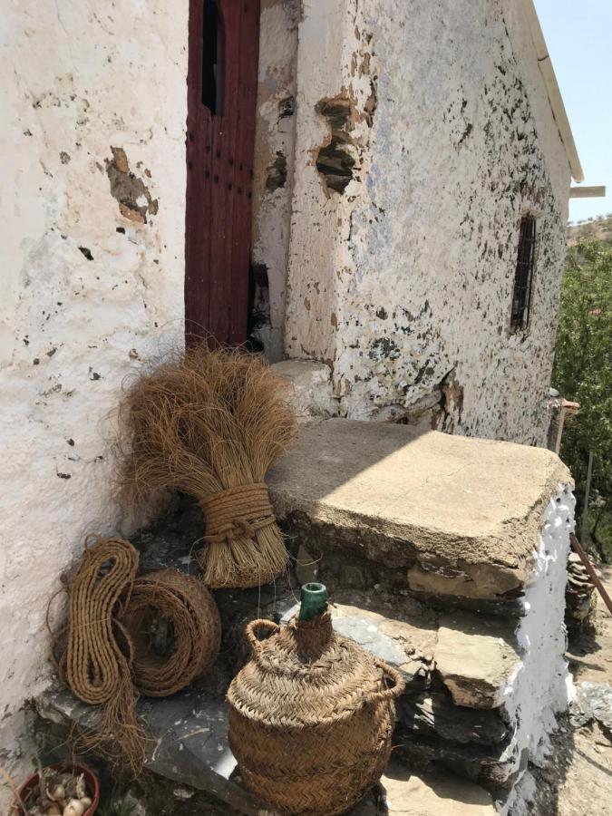 Casa Amigos Sorvilan- La Palmera Εξωτερικό φωτογραφία