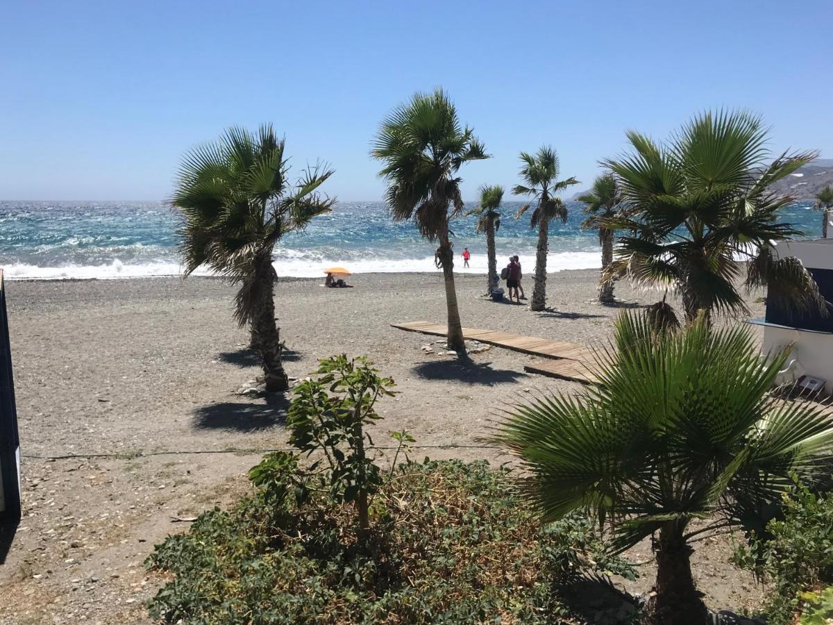 Casa Amigos Sorvilan- La Palmera Εξωτερικό φωτογραφία