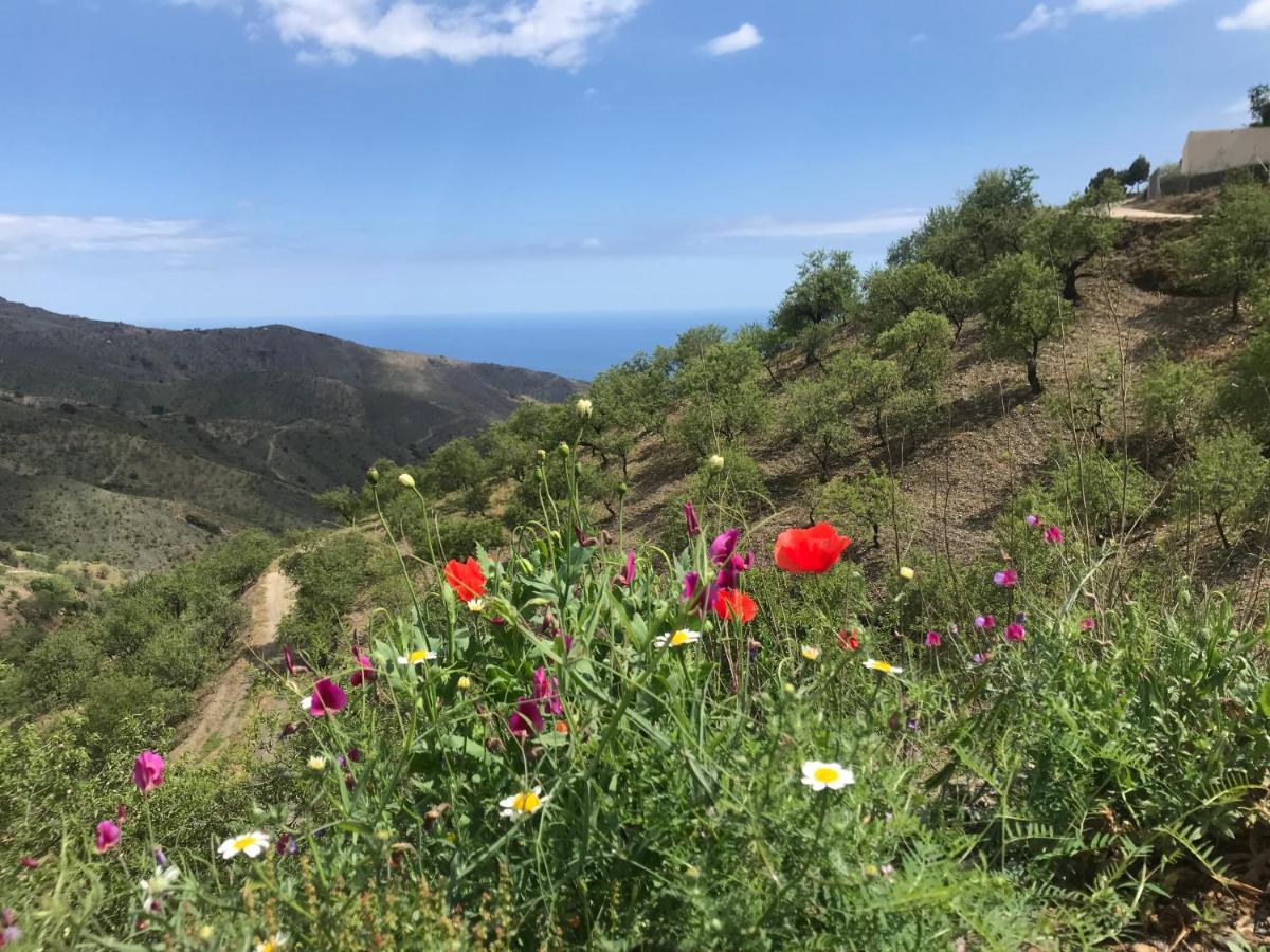 Casa Amigos Sorvilan- La Palmera Εξωτερικό φωτογραφία