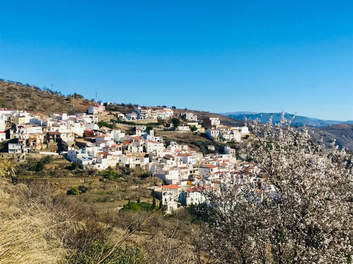 Casa Amigos Sorvilan- La Palmera Εξωτερικό φωτογραφία