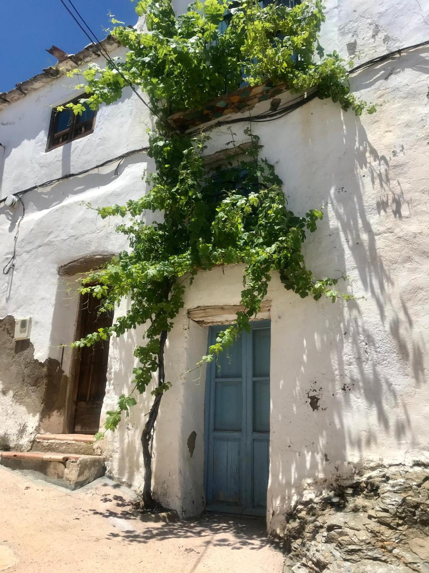 Casa Amigos Sorvilan- La Palmera Εξωτερικό φωτογραφία