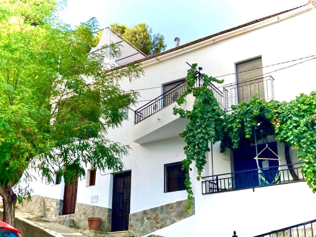 Casa Amigos Sorvilan- La Palmera Εξωτερικό φωτογραφία